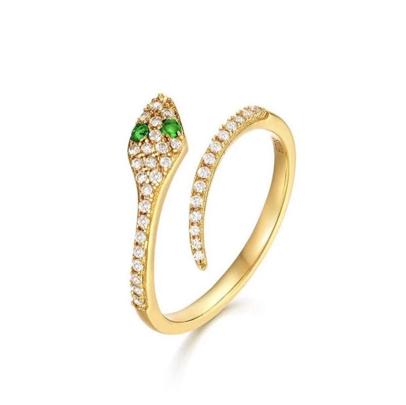 Ring Slange